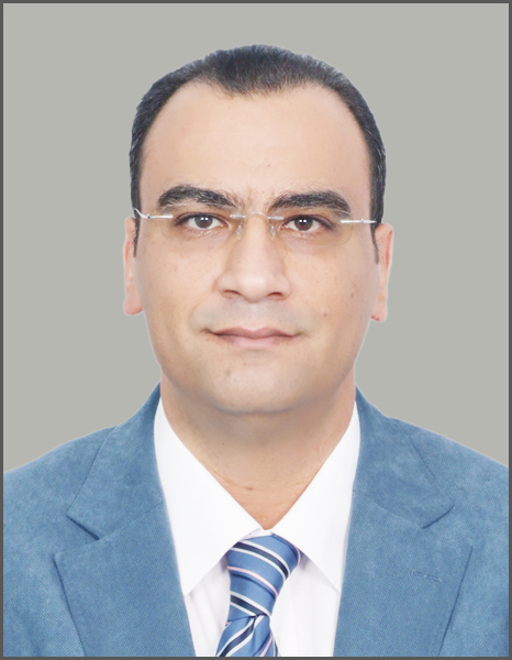 Mr. Mohamed Shafik